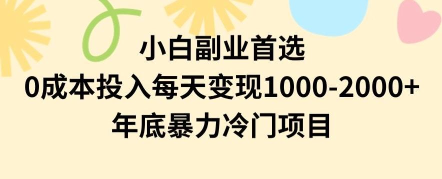 小白副业首选，0成本投入，每天变现1000-2000年底暴力冷门项目【揭秘】-皮皮网创