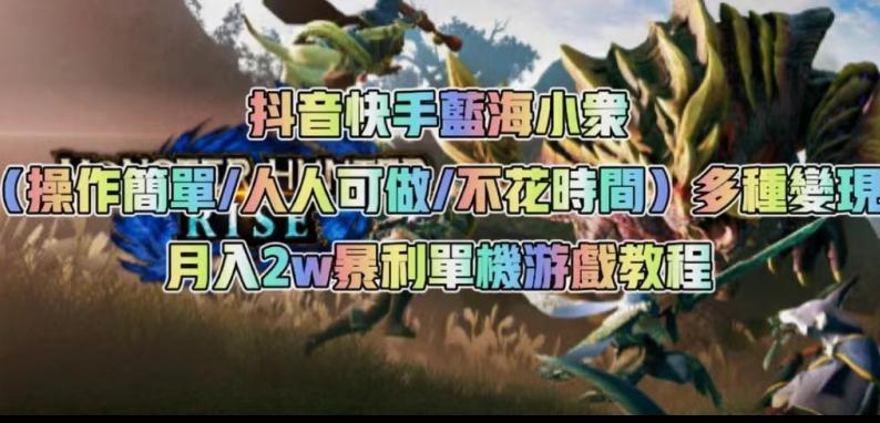 抖音快手蓝海小众（操作简单人人可做不花时间）多种变现月入2w＋暴利单机游戏教程-皮皮网创
