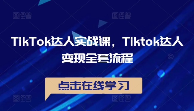 TikTok达人实战课，Tiktok达人变现全套流程-皮皮网创