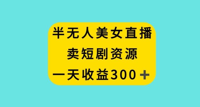 半无人美女直播，卖短剧资源，一天收益300+【揭秘】-皮皮网创