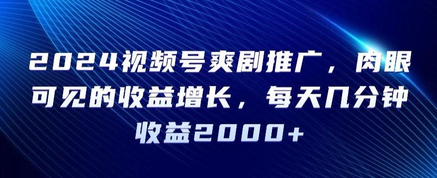 2024视频号爽剧推广，肉眼可见的收益增长，每天几分钟收益2000+【揭秘】-皮皮网创