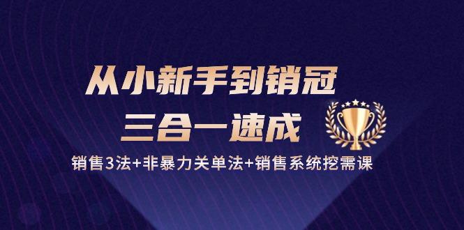 从小新手到销冠 三合一速成：销售3法+非暴力关单法+销售系统挖需课 (27节-皮皮网创