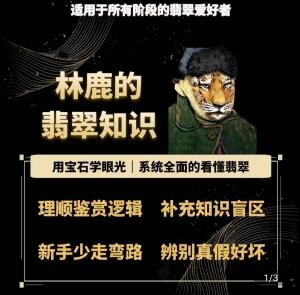 林鹿的翡翠知识，​用宝石眼光，系统全面的看懂翡翠-皮皮网创