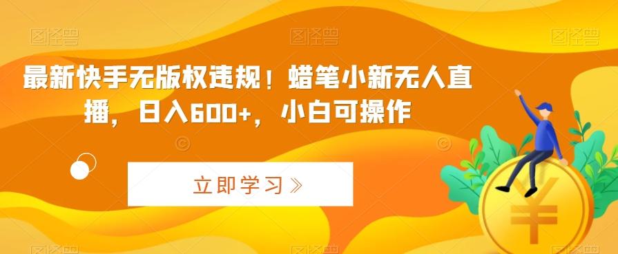 最新快手无版权违规！蜡笔小新无人直播，日入600+，小白可操作【揭秘】-皮皮网创
