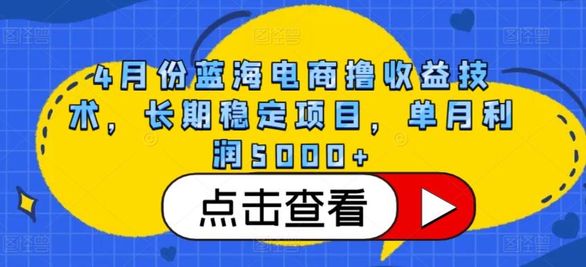 4月份蓝海电商撸收益技术，长期稳定项目，单月利润5000+【揭秘】-皮皮网创