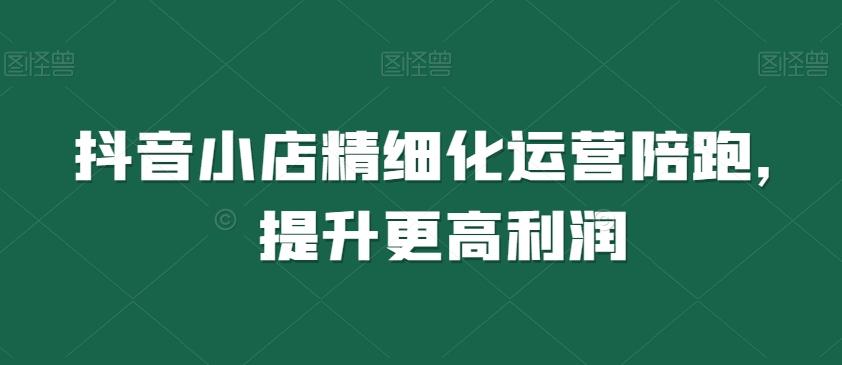 抖音小店精细化运营陪跑，提升更高利润-皮皮网创