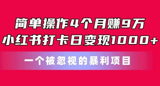 简单操作4个月赚9w，小红书打卡日变现1k，一个被忽视的暴力项目【揭秘】-皮皮网创