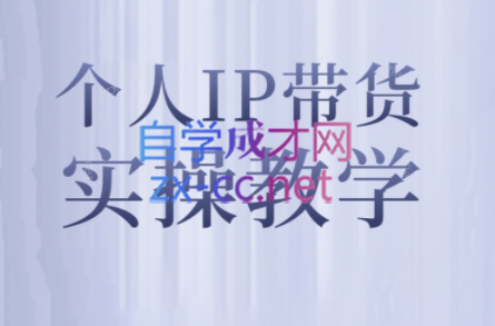 萌神姐姐·个人IP真人出镜短视频实操课-皮皮网创