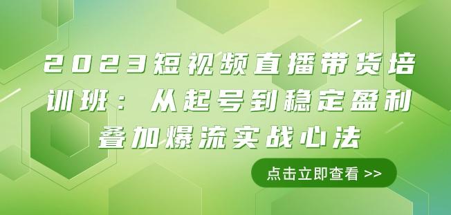 2023短视频直播带货培训班：从起号到稳定盈利叠加爆流实战心法（11节课）-皮皮网创