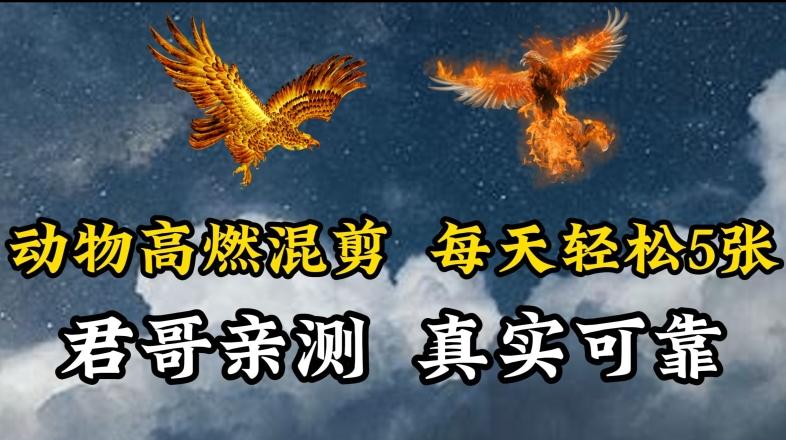 动物超燃混剪，每天轻松5张，剪辑简单大家爱看【揭秘】-皮皮网创
