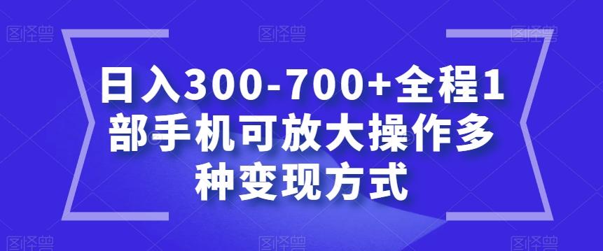 日入300-700+全程1部手机可放大操作多种变现方式【揭秘】-皮皮网创
