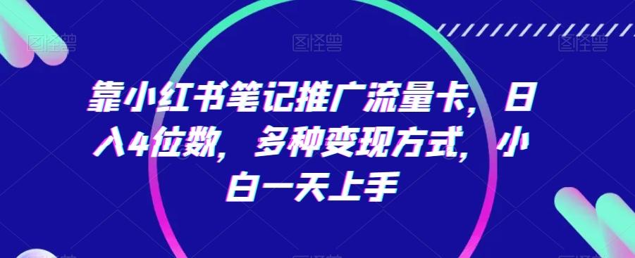 靠小红书笔记推广流量卡，日入4位数，多种变现方式，小白一天上手-皮皮网创
