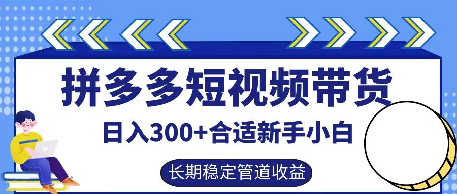 拼多多短视频带货日入300+，实操账户展示看就能学会-皮皮网创