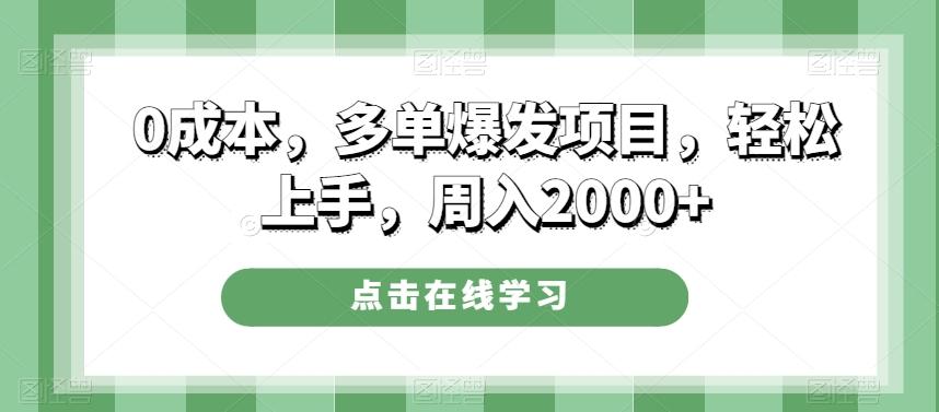 0成本，多单爆发项目，轻松上手，周入2000+-皮皮网创