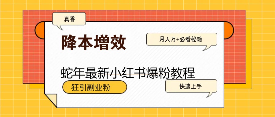 图片[1]-蛇年最新小红书爆粉教程，狂引副业粉，月入万+必看-皮皮网创