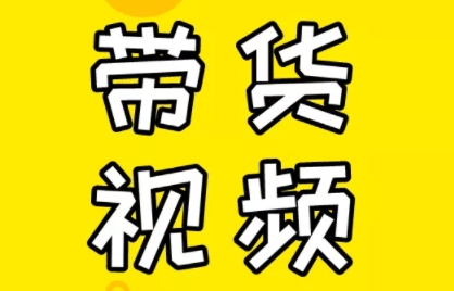芒果老师·教你做抖音短视频和直播带货-皮皮网创