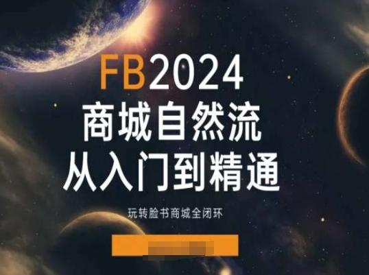 2024Faceboo商城自然流(从入门到精通)，玩转脸书商城全闭环-皮皮网创