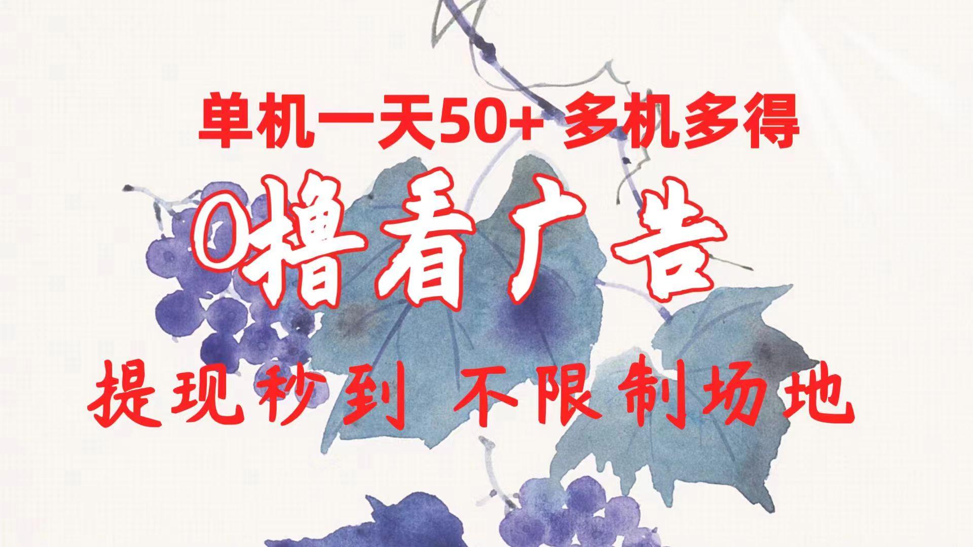 0撸看广告 单机一天50+多机多得 提现秒到 不限制场地操作-皮皮网创