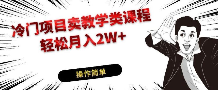 冷门项目卖教学类课程，轻松月入2W+-皮皮网创