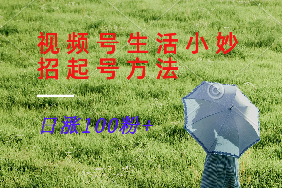 视频号生活小妙招分享赛道， 起号涨粉新方法，日涨100粉-皮皮网创