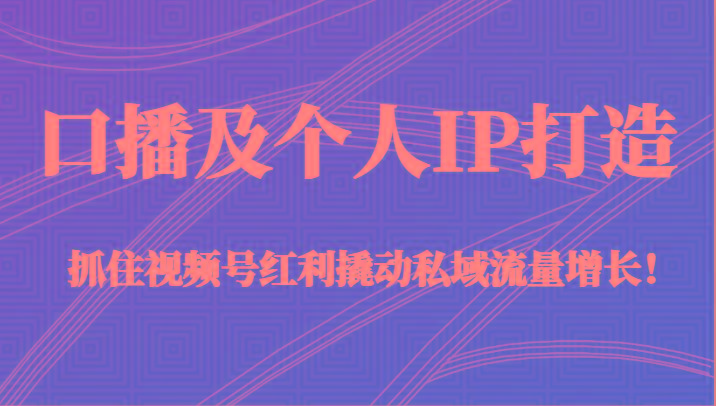 口播及个人IP打造，抓住视频号红利撬动私域流量增长！（45节课）-皮皮网创