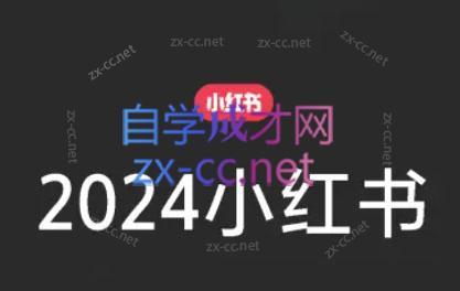 陶金金·2024小红书文创(第三期)-皮皮网创