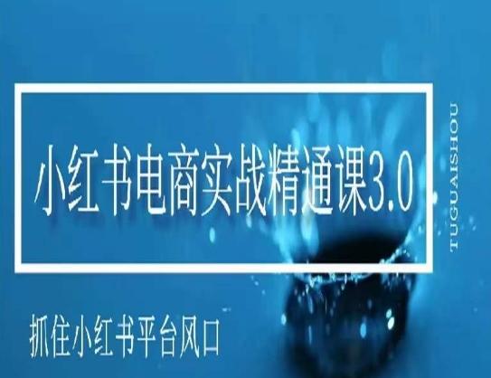 小红书电商实战精通课3.0，抓住小红书平台的风口，不错过有一个赚钱的机会-皮皮网创