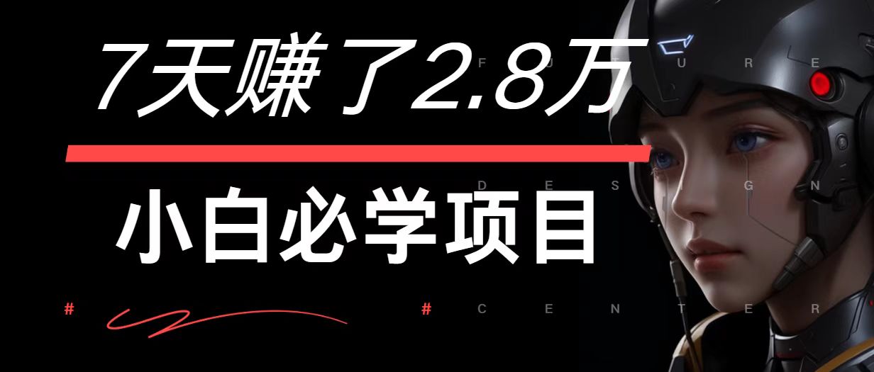 7天赚了2.8万！每单利润最少500+，轻松月入7万+小白有手就行-皮皮网创