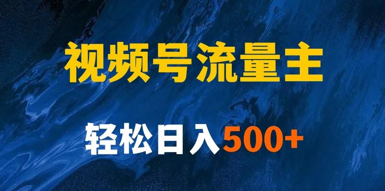 揭秘视频号创作者分成计划，带你玩赚视频号流量主！新手也能月入1w+-皮皮网创