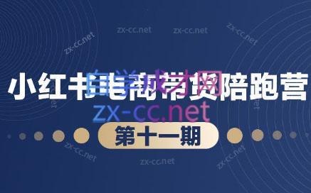 盗坤·小红书电商带货陪跑营(第十一期)-皮皮网创