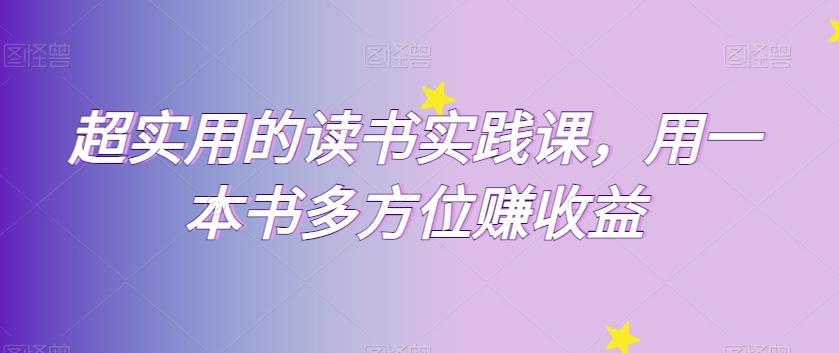 超实用的读书实践课，用一本书多方位赚收益-皮皮网创