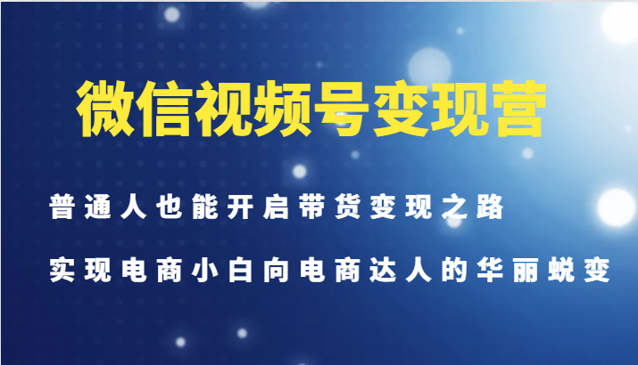 微信视频号变现营-普通人也能开启带货变现之路，实现电商小白向电商达人的华丽蜕变-皮皮网创