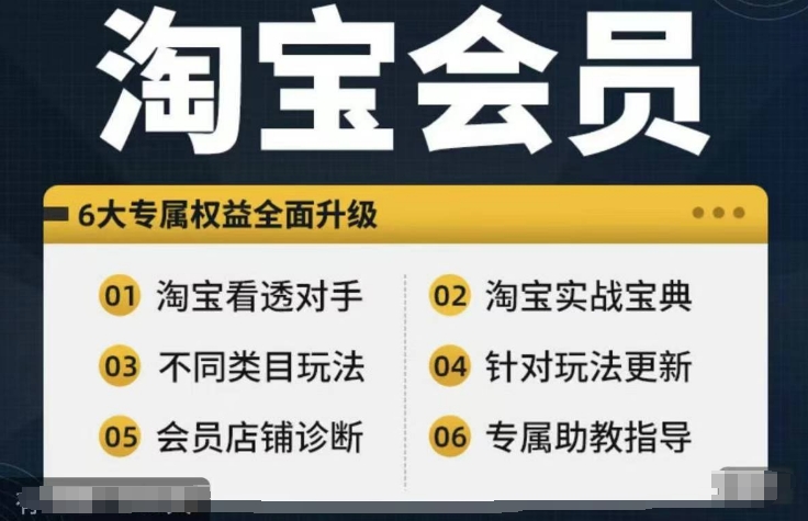 淘宝会员【淘宝所有课程，全面分析对手】，初级到高手全系实战宝典-皮皮网创
