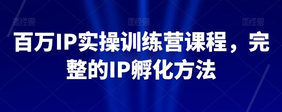 百万IP实操训练营课程，完整的IP孵化方法-皮皮网创