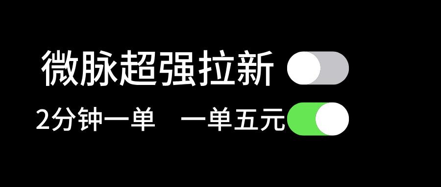 微脉超强拉新， 两分钟1单， 一单利润5块，适合小白-皮皮网创