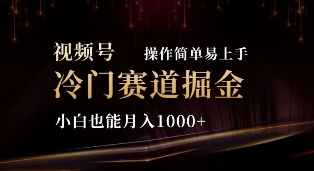 2024视频号冷门赛道掘金，操作简单轻松上手，小白也能月入1000+-皮皮网创