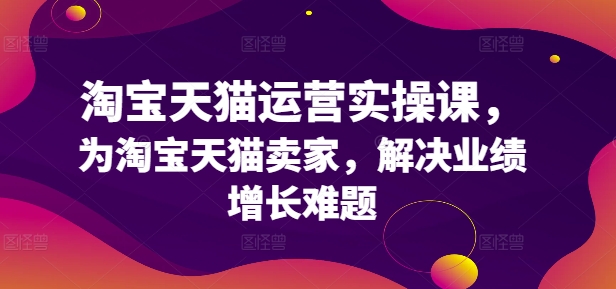 淘宝天猫运营实操课，为淘宝天猫卖家，解决业绩增长难题-皮皮网创