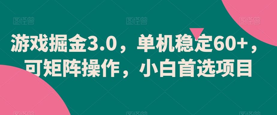 游戏掘金3.0，单机稳定60+，可矩阵操作，小白首选项目【揭秘】-皮皮网创