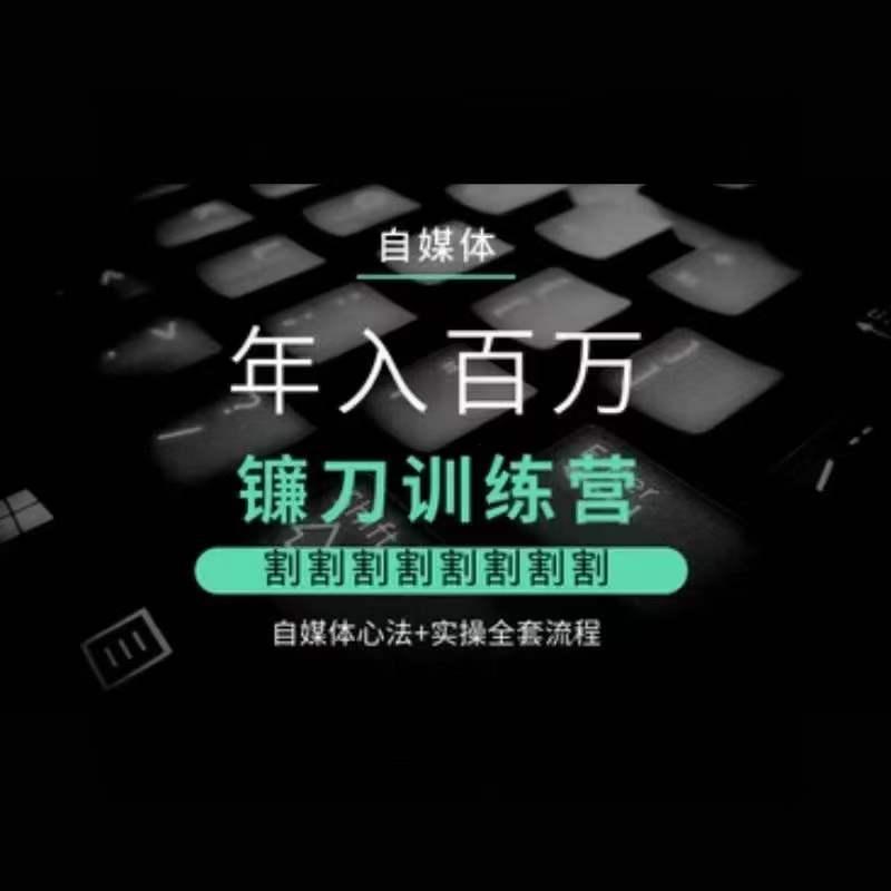 自媒体年入百万镰刀训练营，割割割割割割割割，自媒体心法+实操全套流程-皮皮网创
