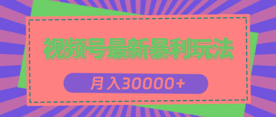 视频号最新暴利玩法，轻松月入30000+-皮皮网创