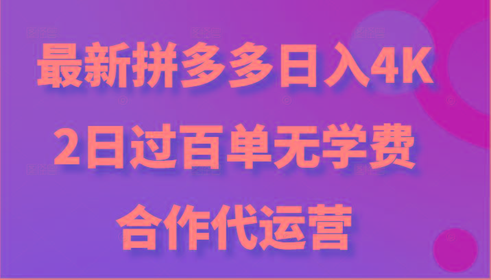 最新拼多多，日入4K+，2日过百单无学费，合作代运营-皮皮网创