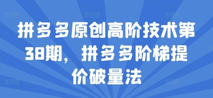 拼多多原创高阶技术第38期，拼多多阶梯提价破量法-皮皮网创