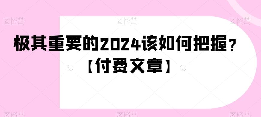 极其重要的2024该如何把握？【付费文章】-皮皮网创