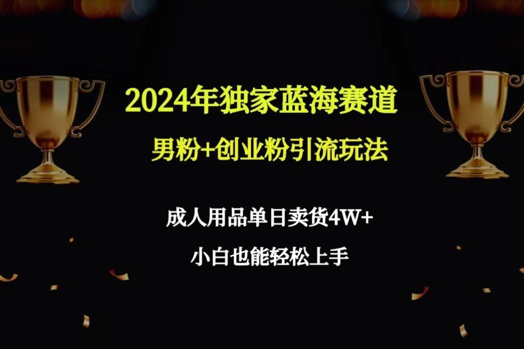 2024年独家蓝海赛道男粉+创业粉引流玩法，成人用品单日卖货4W+保姆教程-皮皮网创