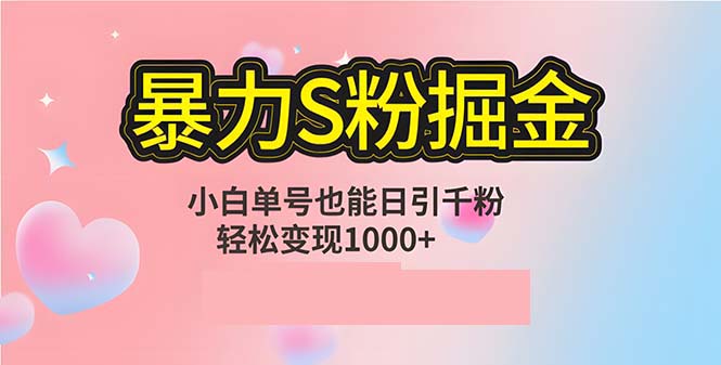 单人单机日引千粉，变现1000+，S粉流量掘金计划攻略-皮皮网创