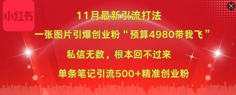 小红书11月最新图片打粉，一张图片引爆创业粉，“预算4980带我飞”，单条引流500+精准创业粉-皮皮网创