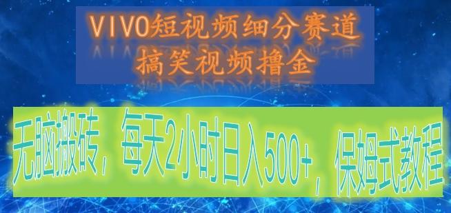 VIVO短视频细分赛道，搞笑视频撸金，无脑搬砖，每天2小时日入500+，保姆式教程-皮皮网创
