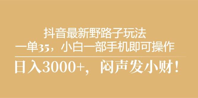 抖音最新野路子玩法，一单35，小白一部手机即可操作，，日入3000+，闷…-皮皮网创