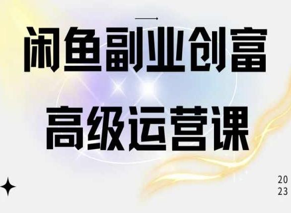 闲鱼电商运营高级课程，一部手机学会闲鱼开店赚钱-皮皮网创