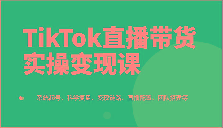 TikTok直播带货实操变现课：系统起号、科学复盘、变现链路、直播配置、团队搭建等-皮皮网创